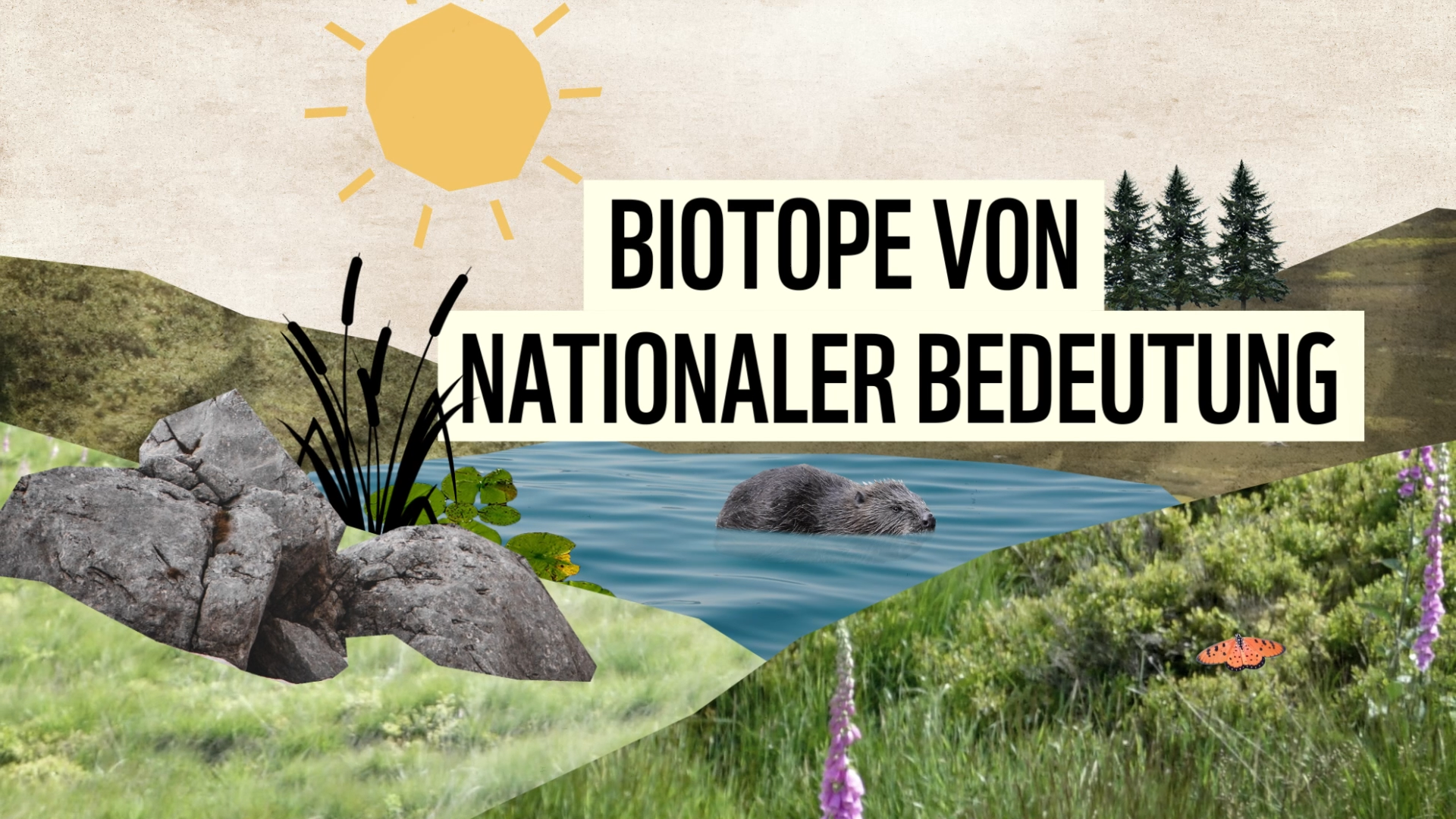 WWF - Biotope