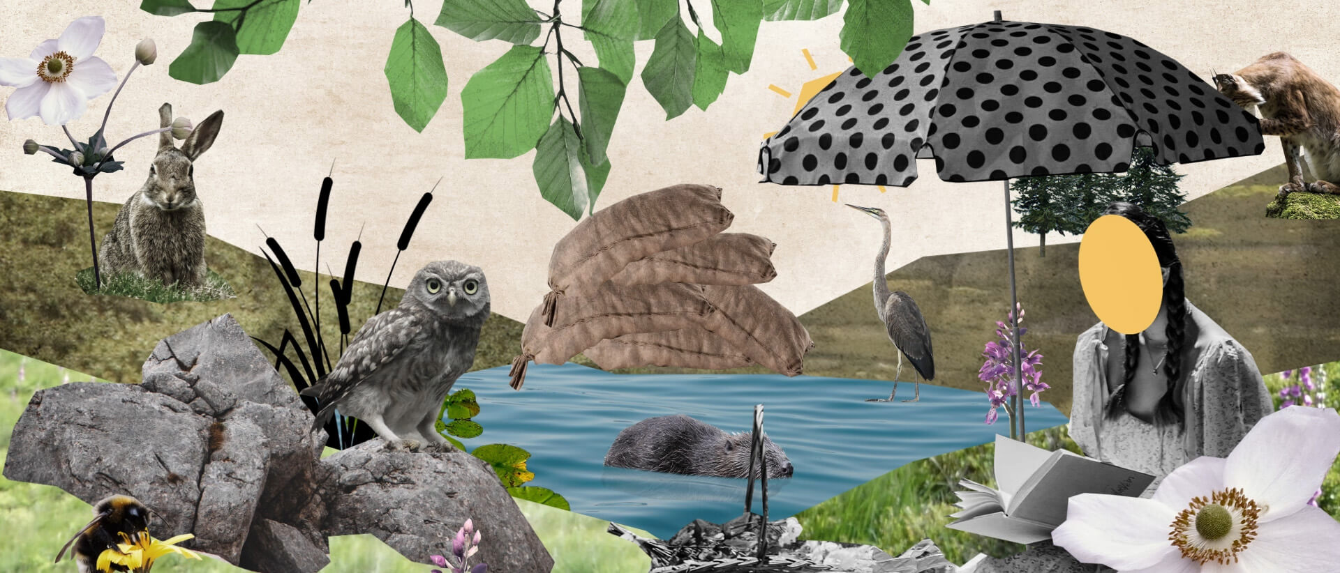 WWF_Biotope_822